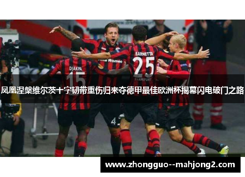 凤凰涅槃维尔茨十字韧带重伤归来夺德甲最佳欧洲杯揭幕闪电破门之路 凤凰涅槃维尔茨十字韧带重伤归来夺德甲最佳欧洲杯揭幕闪电破门之路