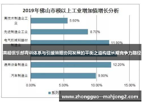 英超俱乐部青训体系与引援策略协同发展的平衡之道构建长期竞争力路径